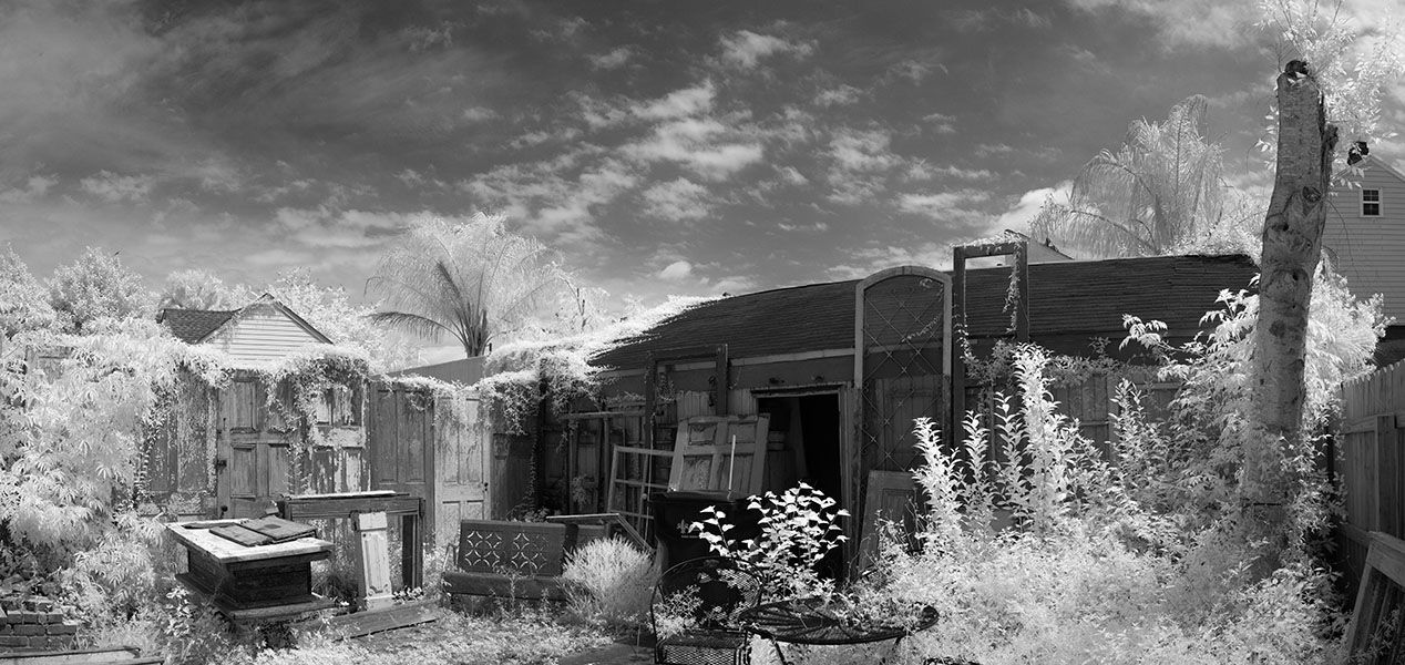 Infrared Panorama of Ecletic Back Yard.